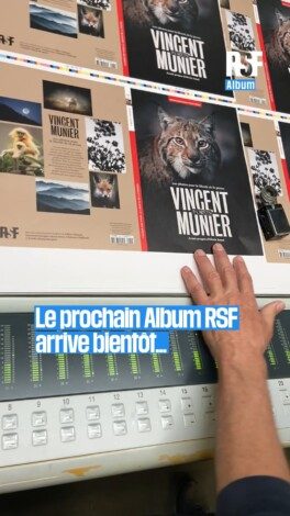 Vous êtes déjà plus de 4000 à soutenir ce projet !

Grâce à vous qui nous soutenez, les premiers exemplaires de l'album RSF x @vincent_munier_photographer sont en cours d'impression à Lyon. Il ne vous reste plus que quelques jours pour précommander le vôtre, et profitez de son poster offert.

Vous pourrez y découvrir les photos de Vincent Munier accompagnées des textes inédits de Gilles Clément, Simonetta Greggio, Stéphanie Thiébault, Estelle Zhong Mengual et de l'avant-propos d'Alexis Jenni. Rendez-vous sur boutique.rsf.org

12,50 euros. 100% des bénéfices sont reversés à RSF, et financent directement la liberté de la presse.